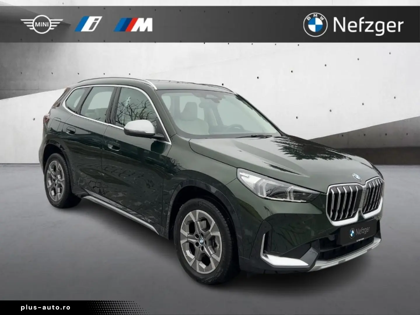BMW X1 xDrive20d X Line Park-Assistent PANO LED