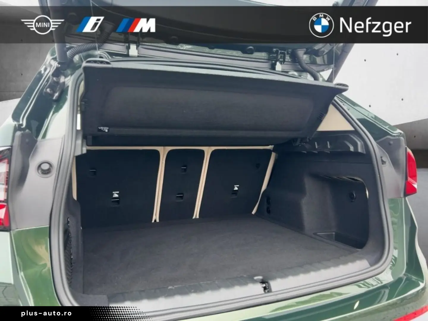 BMW X1 xDrive20d X Line Park-Assistent PANO LED