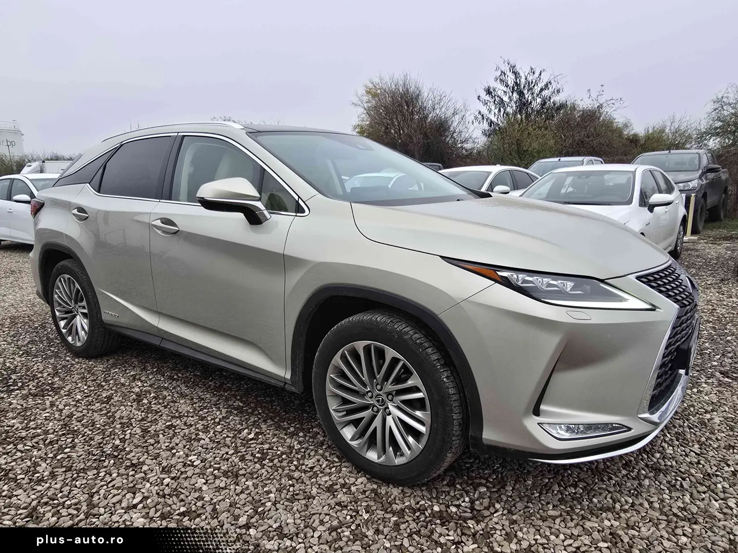 Lexus Seria RX 2020