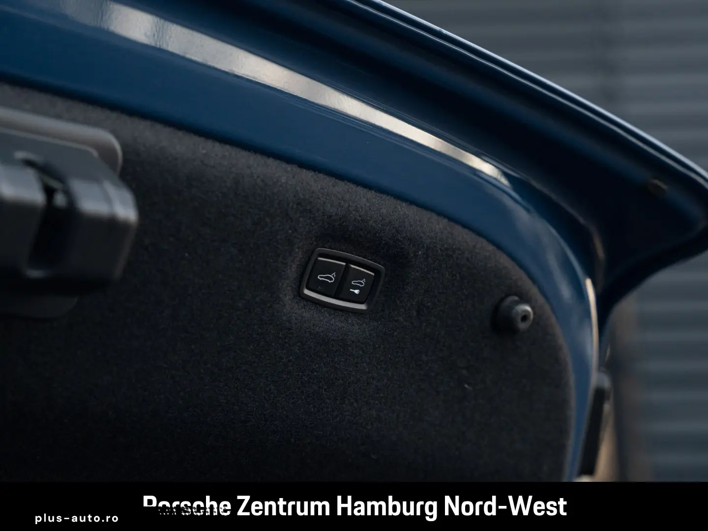 PORSCHE Taycan BOSE PASM Head-Up Panorama PDLS Plus