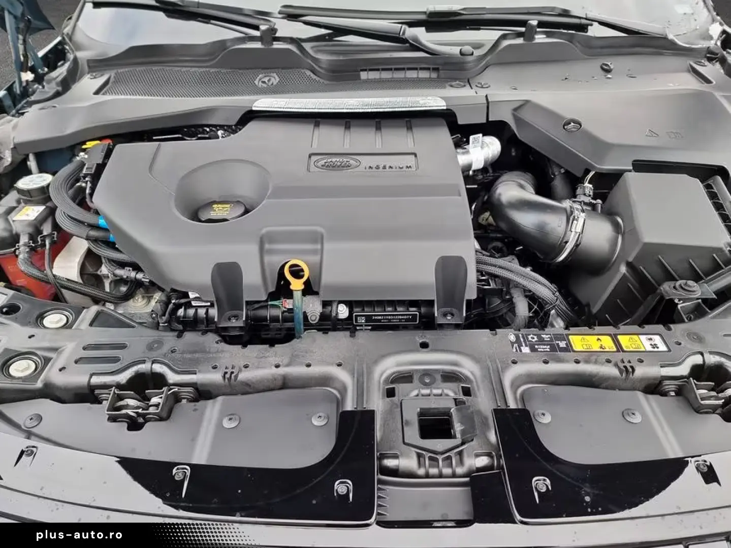 Land Rover Range Rover EvoqueD165 Dynamic SE