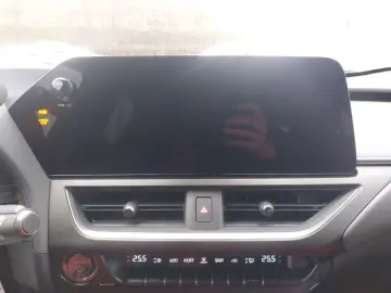 Lexus UX 300h F-Sport 4x4