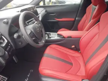 Lexus UX 300h F-Sport 4x4
