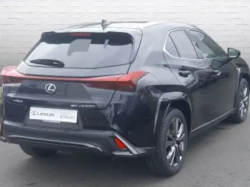 Lexus UX 300h F-Sport 4x4