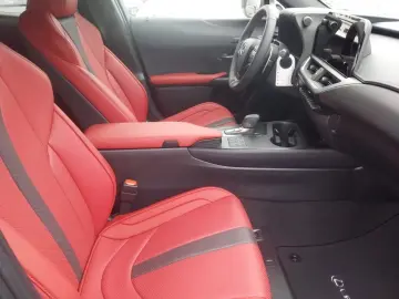 Lexus UX 300h F-Sport 4x4