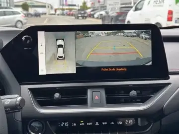 Lexus UX 300h F-Sport Navi LED ACC AWD 4x4