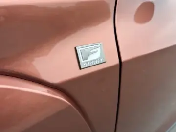 Lexus UX 300h F-Sport Navi LED ACC AWD 4x4