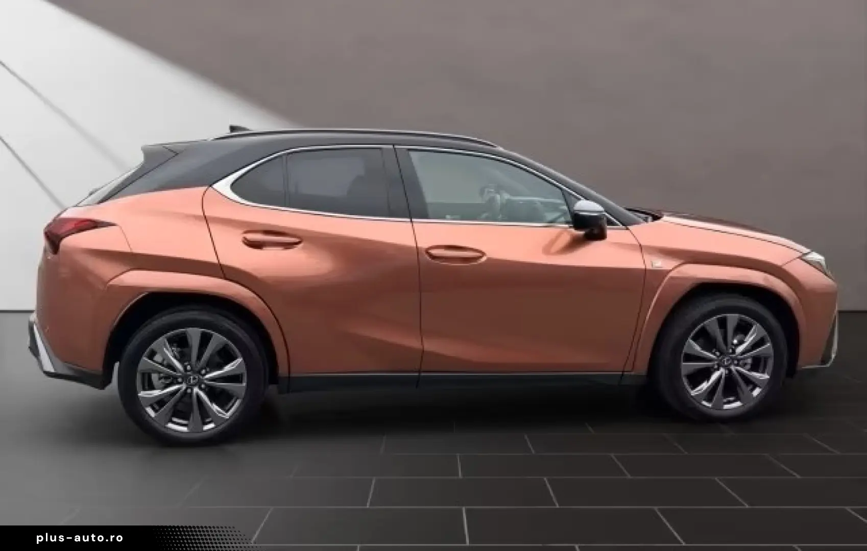 Lexus UX 300h F-Sport Navi LED ACC AWD 4x4