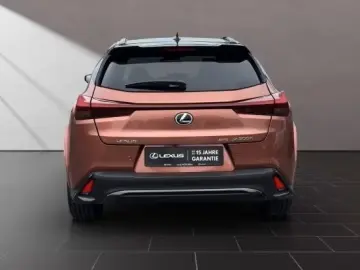 Lexus UX 300h F-Sport Navi LED ACC AWD 4x4