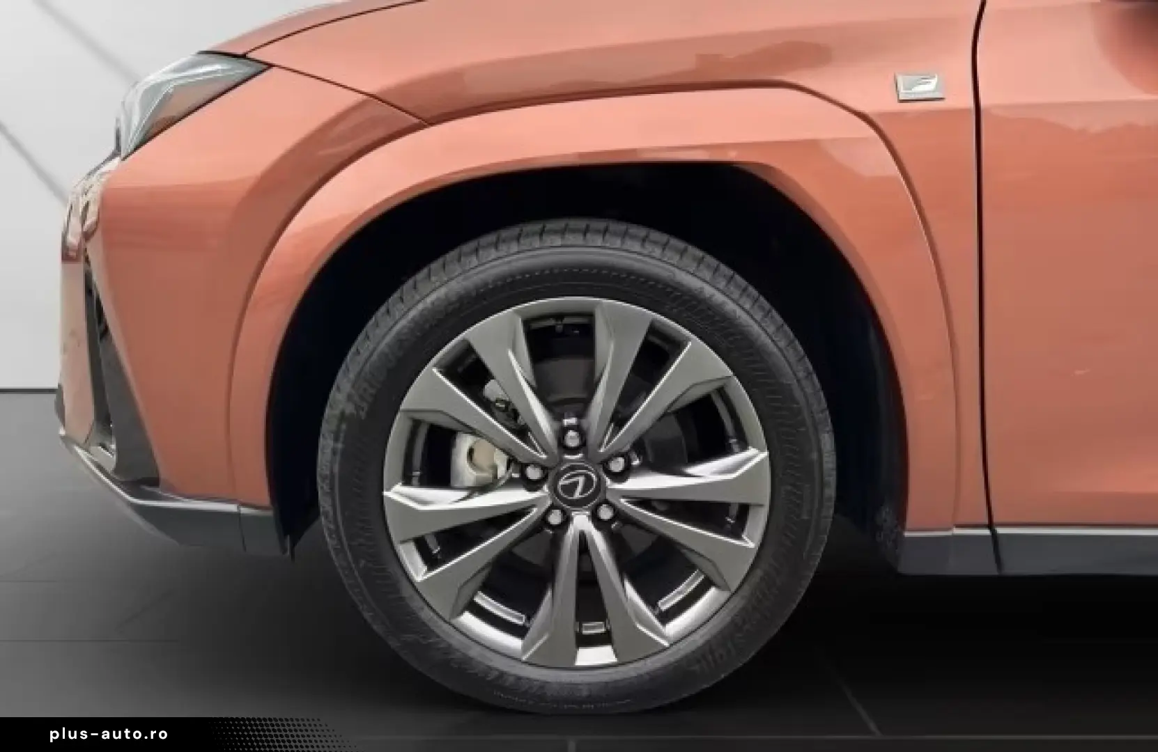 Lexus UX 300h F-Sport Navi LED ACC AWD 4x4