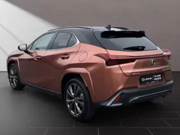 Lexus UX 300h F-Sport Navi LED ACC AWD 4x4