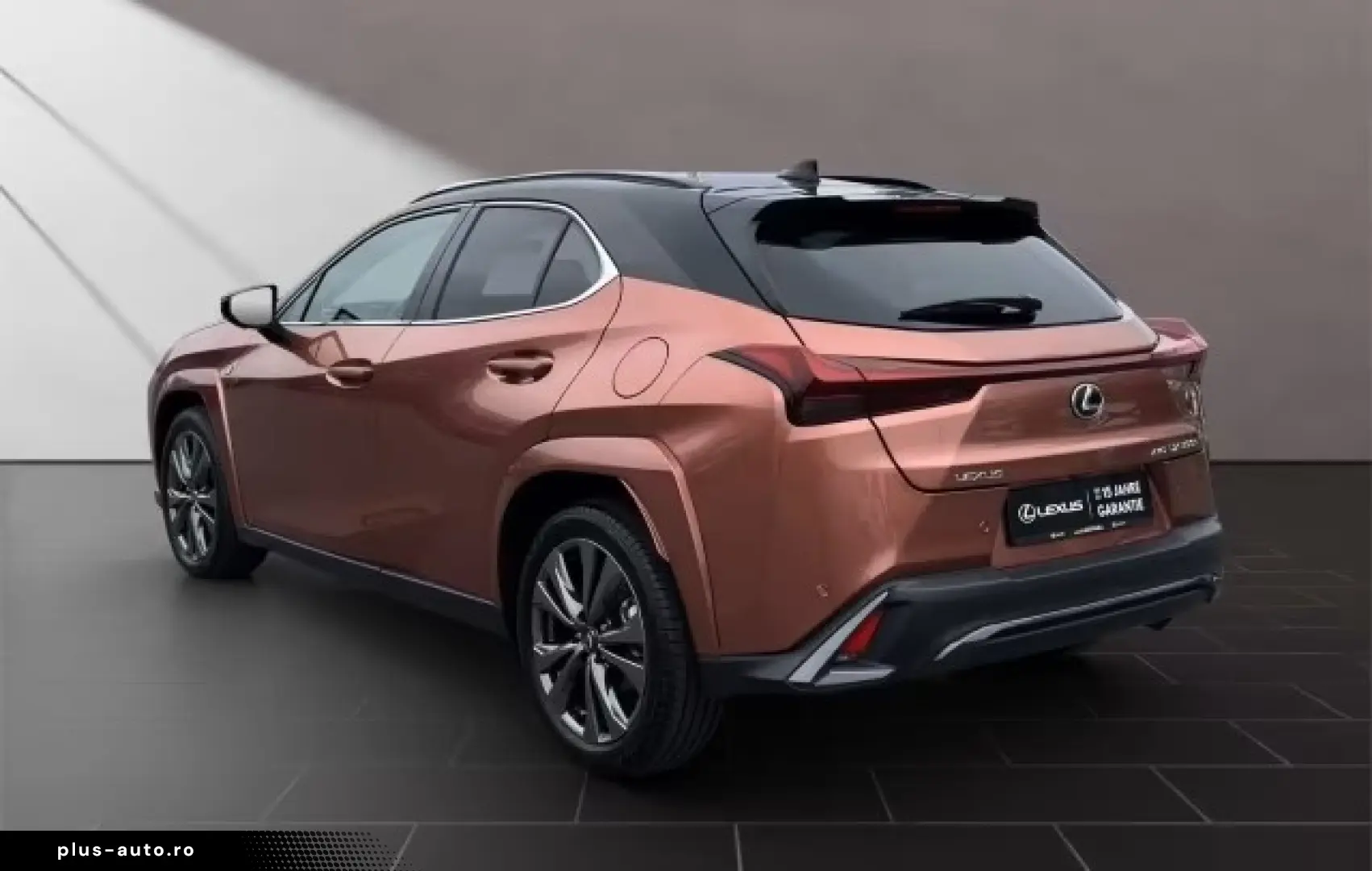 Lexus UX 300h F-Sport Navi LED ACC AWD 4x4