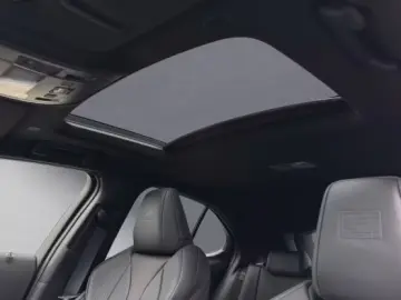 Lexus UX 300h F-Sport Navi LED ACC AWD 4x4