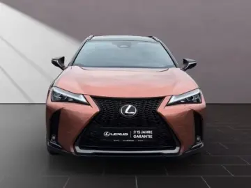Lexus UX 300h F-Sport Navi LED ACC AWD 4x4