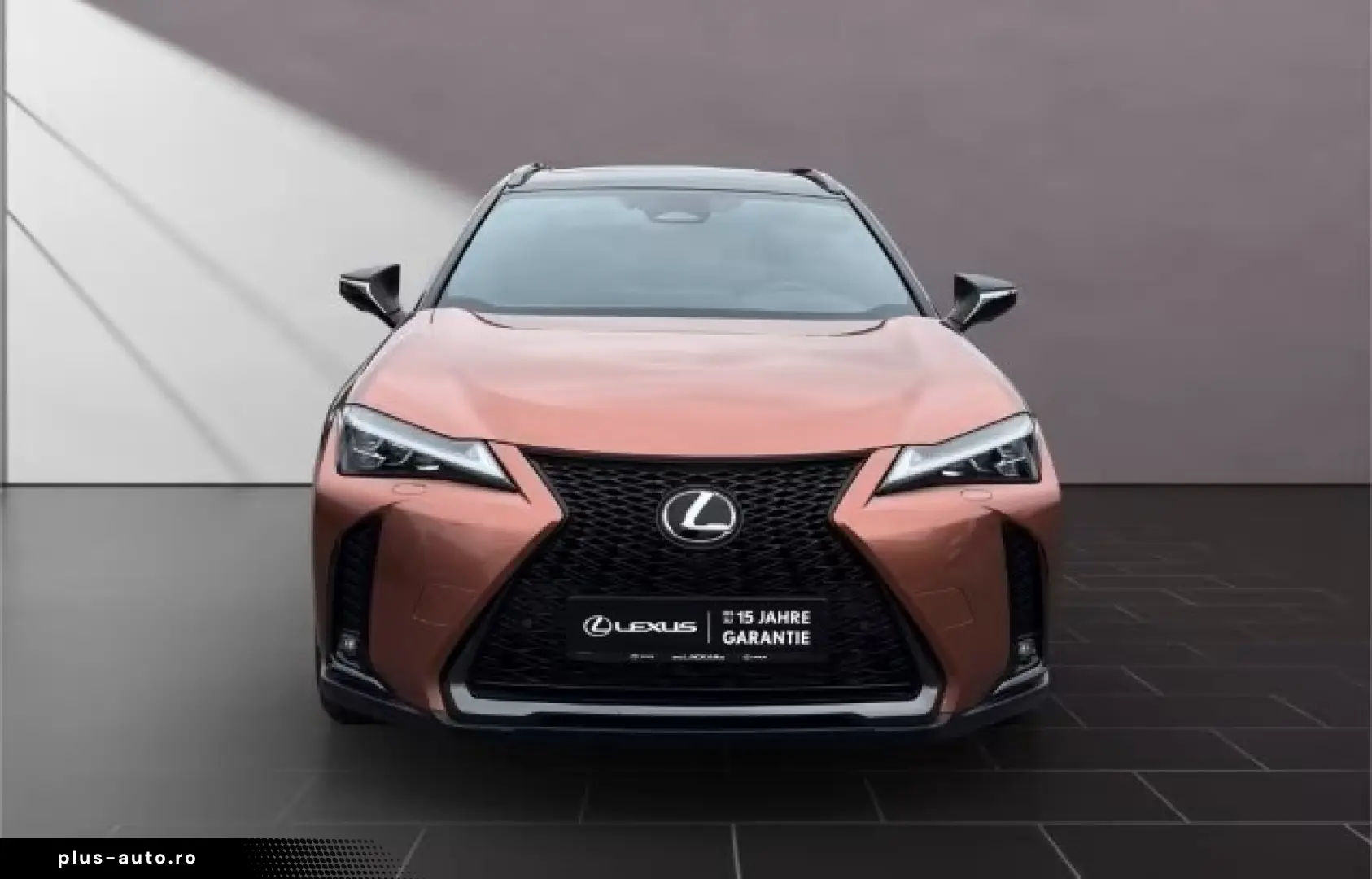Lexus UX 300h F-Sport Navi LED ACC AWD 4x4