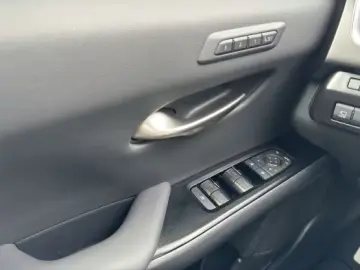 Lexus UX 300h F-Sport Navi LED ACC AWD 4x4