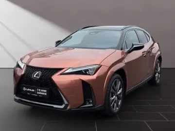 Lexus UX 300h F-Sport Navi LED ACC AWD 4x4