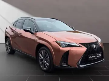 Lexus UX 300h F-Sport Navi LED ACC AWD 4x4
