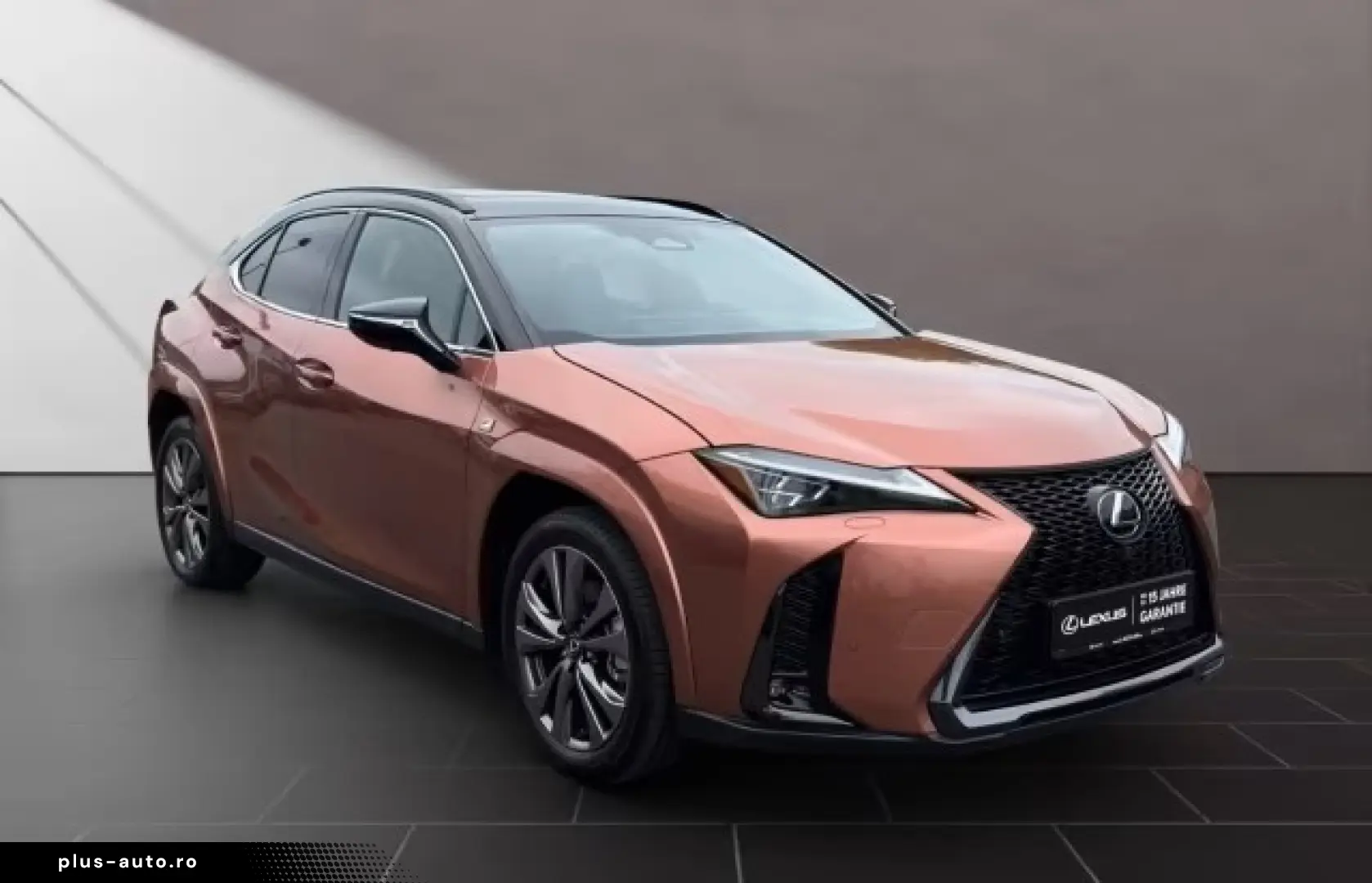 Lexus UX 300h F-Sport Navi LED ACC AWD 4x4
