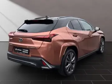 Lexus UX 300h F-Sport Navi LED ACC AWD 4x4