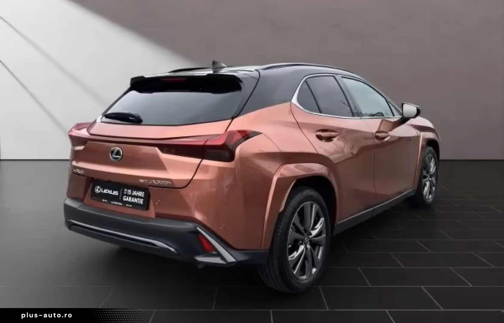 Lexus UX 300h F-Sport Navi LED ACC AWD 4x4