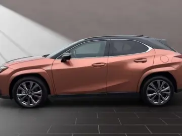 Lexus UX 300h F-Sport Navi LED ACC AWD 4x4