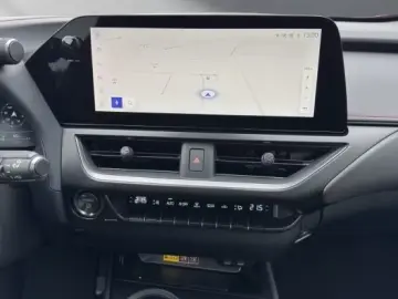 Lexus UX 300h F-Sport Navi LED ACC AWD 4x4