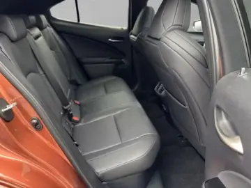 Lexus UX 300h F-Sport Navi LED ACC AWD 4x4