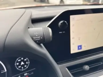 Lexus UX 300h F-Sport Navi LED ACC AWD 4x4