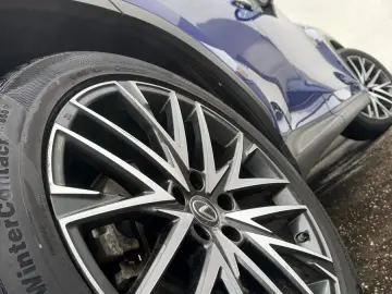 LEXUS NX 350h E-Four F-Sport   Panoramadach   Winterrä