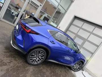 LEXUS NX 350h E-Four F-Sport   Panoramadach   Winterrä