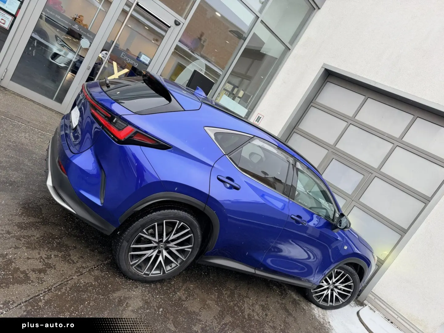 LEXUS NX 350h E-Four F-Sport   Panoramadach   Winterrä
