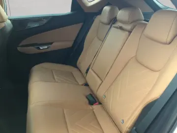 Lexus NX 350hNX350h 4x4 Executive Alle Extras Modell2