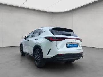 Lexus NX 350hNX350h 4x4 Executive Alle Extras Modell2