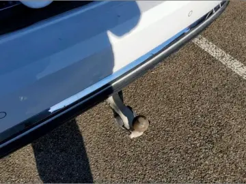 VW Touareg 3.0 V6 e-Hybr Eleg     AZN-Förderung