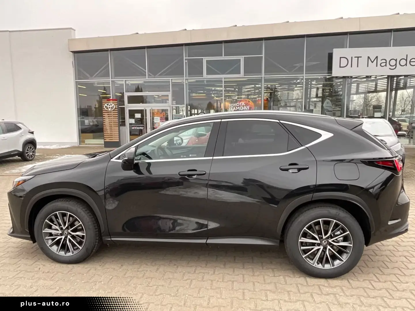 Lexus NX 350h 4X4 Executive Line Interieur-Tech. Pake