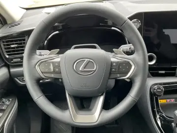 Lexus NX 350h 4X4 Executive Line Interieur-Tech. Pake
