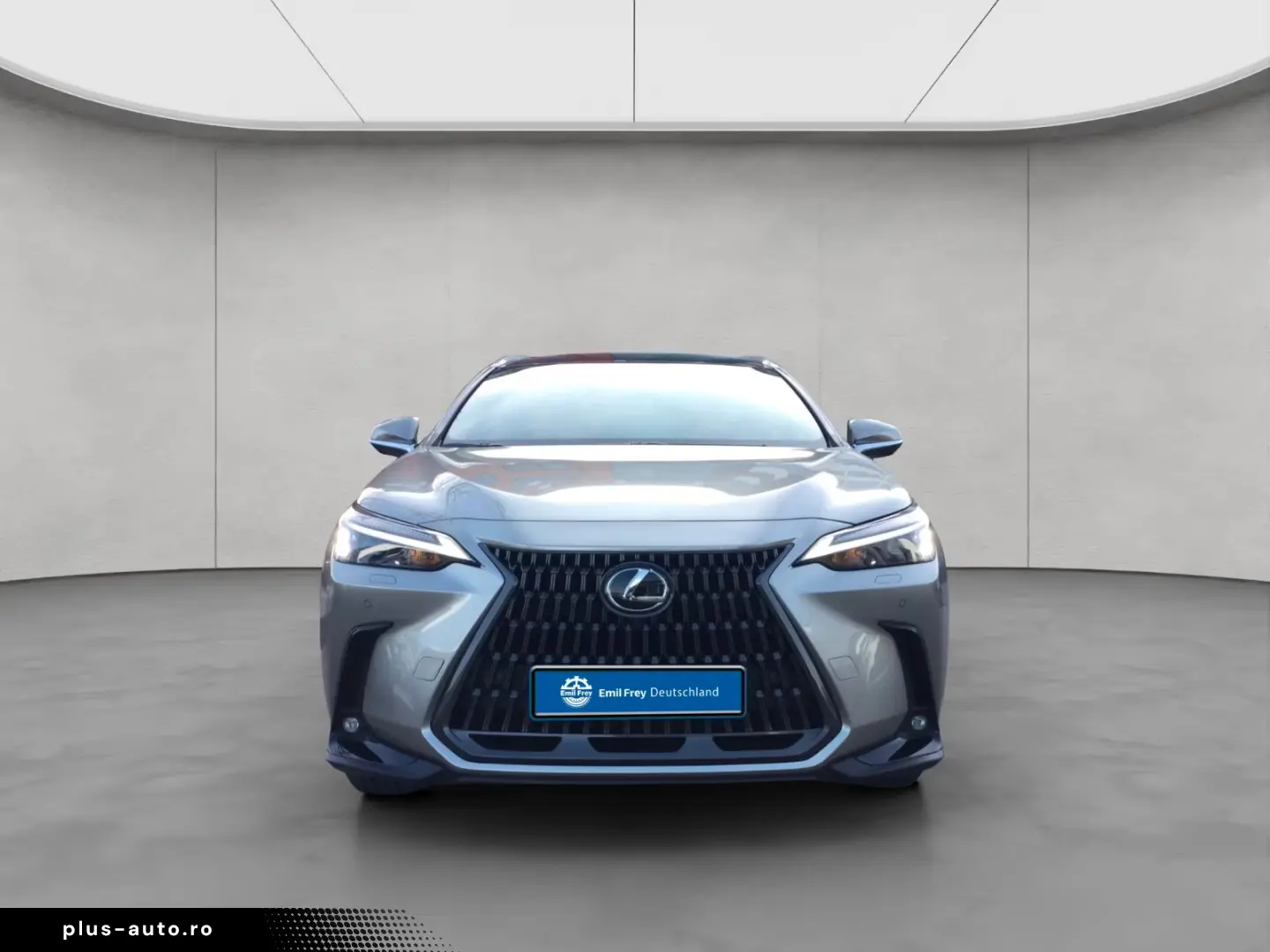Lexus NX 350h 4x4 Executive Alle Extras Model