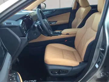 Lexus NX 350h 4x4 Executive Alle Extras Model