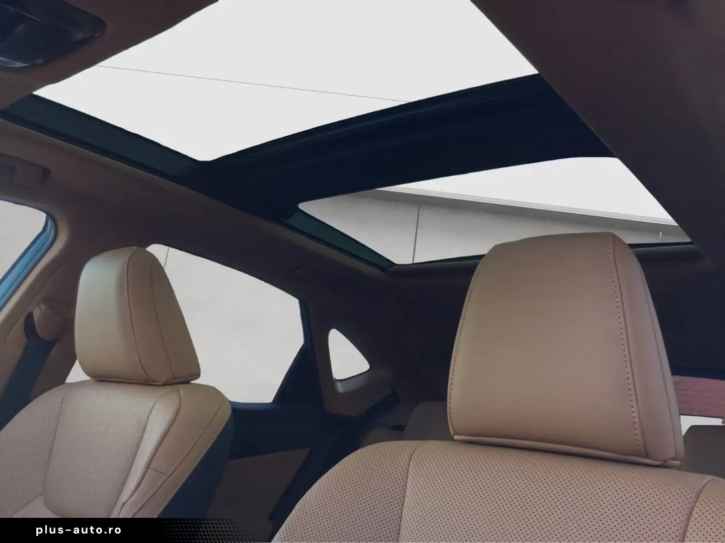 Lexus NX 350h 4x4 Executive Alle Extras Model