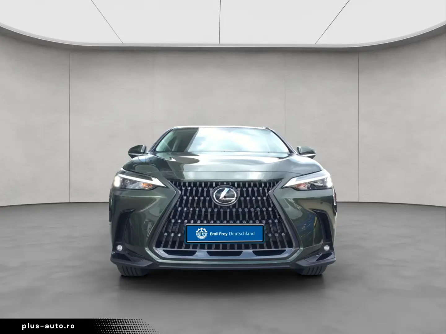 Lexus NX 350h 4x4 Executive Alle Extras Model