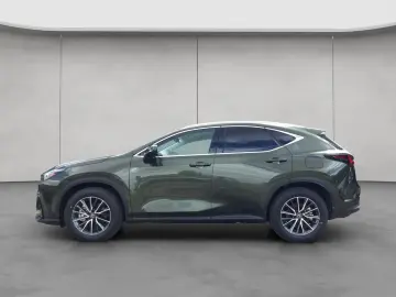 Lexus NX 350h 4x4 Executive Alle Extras Model