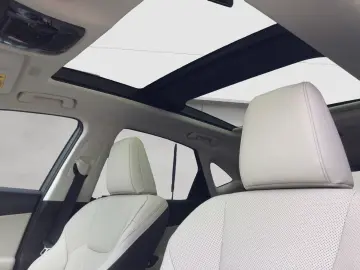 Lexus NX 350h 4x4 Executive Alle Extras Model