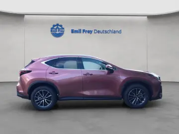 Lexus NX 350h 4x4 Executive Alle Extras Model