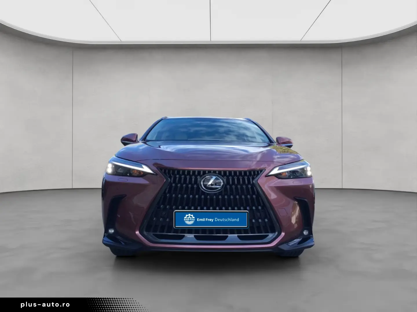 Lexus NX 350h 4x4 Executive Alle Extras Model