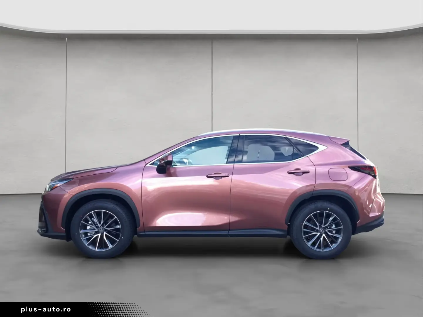 Lexus NX 350h 4x4 Executive Alle Extras Model