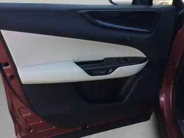 Lexus NX 350h 4x4 Executive Alle Extras Model