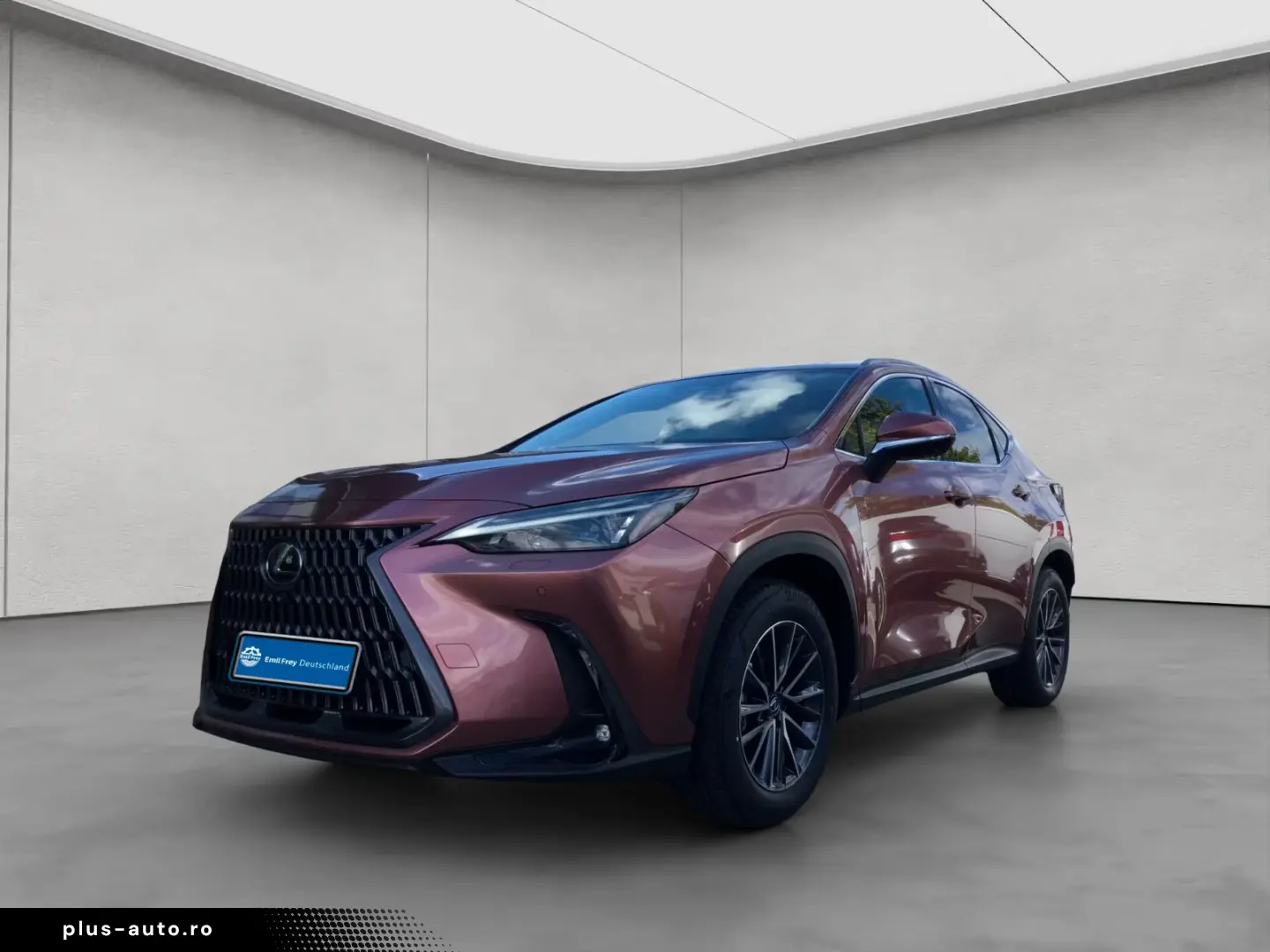 Lexus NX 350h 4x4 Executive Alle Extras Model