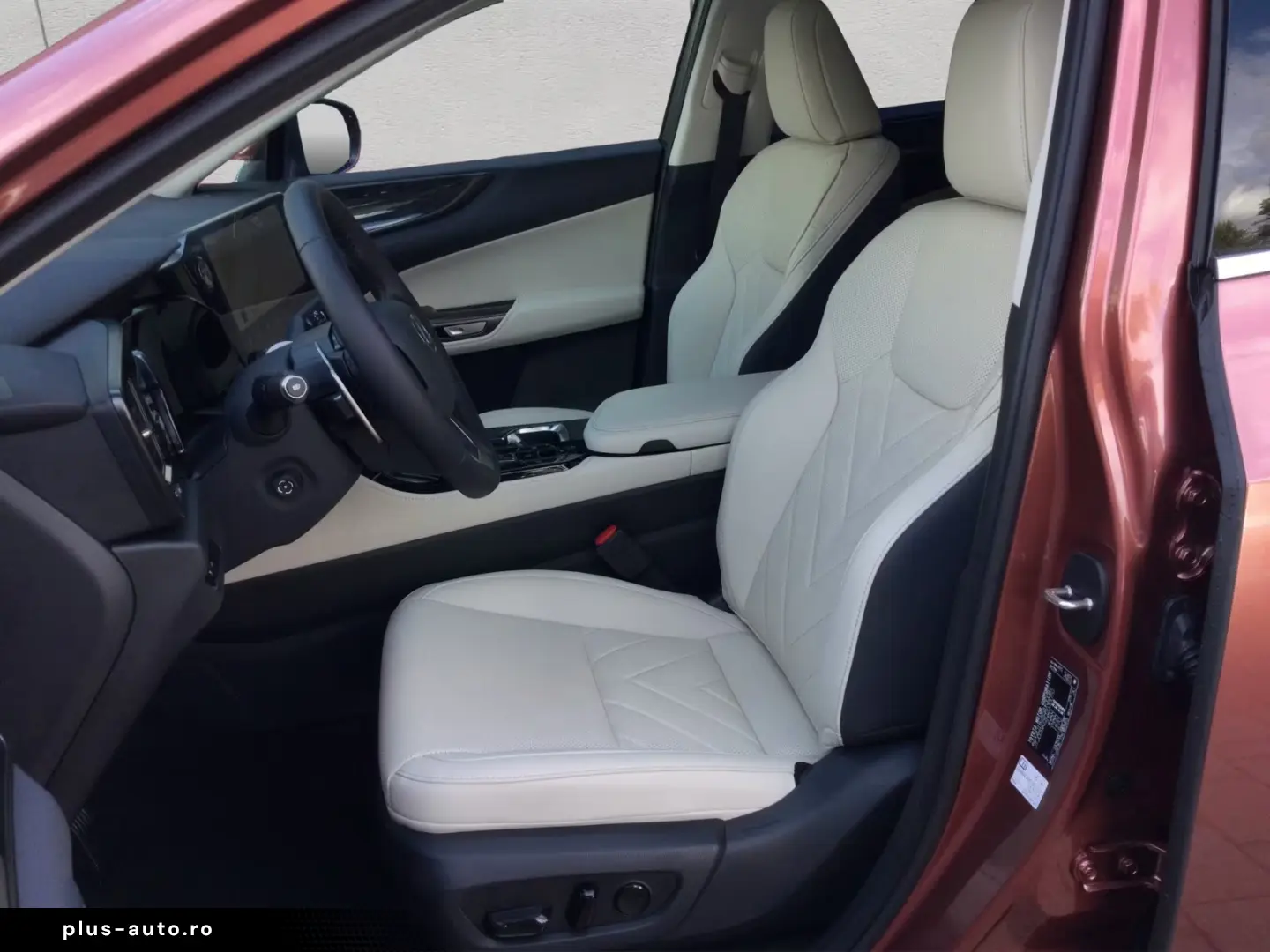 Lexus NX 350h 4x4 Executive Alle Extras Model