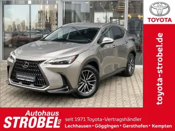 LEXUS NX 350h Executive Line inkl. WR 360  Kamera